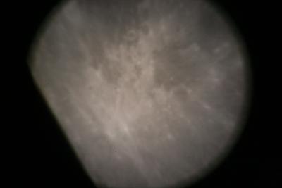 img_7327.jpg